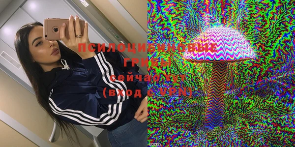 ПСИЛОЦИБИНОВЫЕ ГРИБЫ Алексеевка
