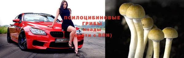 ПСИЛОЦИБИНОВЫЕ ГРИБЫ Алексеевка