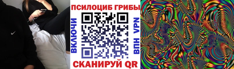 Псилоцибиновые грибы Magic Shrooms  сколько стоит  Фатеж 